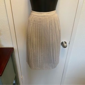 Pleated Skirt